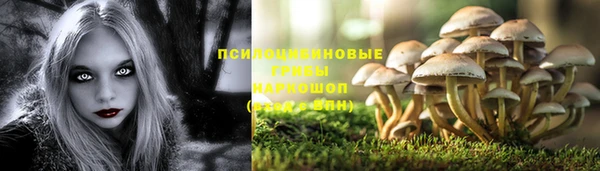 a pvp Горнозаводск