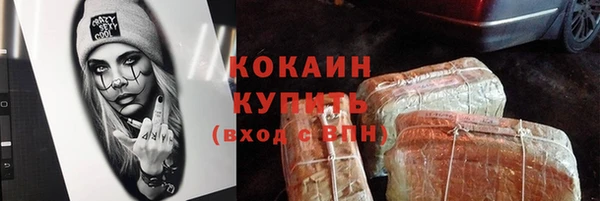 МДПВ Дмитриев