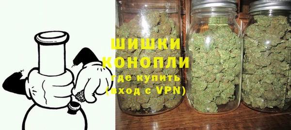 МДПВ Дмитриев