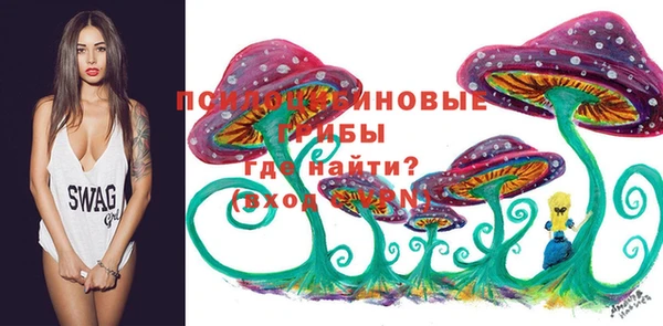 тгк Вязьма