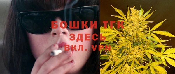 МДПВ Дмитриев