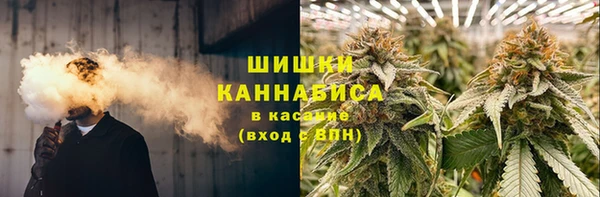 a pvp Горнозаводск